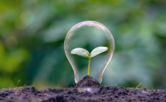 A light bulb with a plant growing inside it to symbolize energy efficiency, helping to reduce climate change